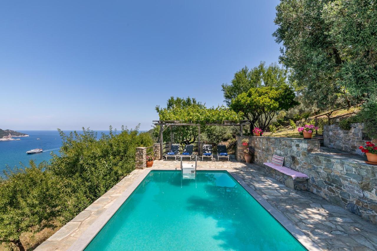 Villa Nina Skopelos- Private Pool - Magnificent Views Extérieur photo