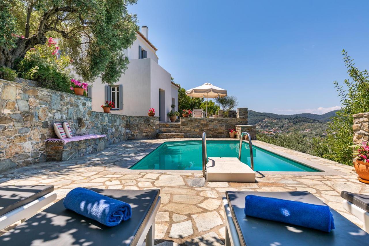 Villa Nina Skopelos- Private Pool - Magnificent Views Extérieur photo